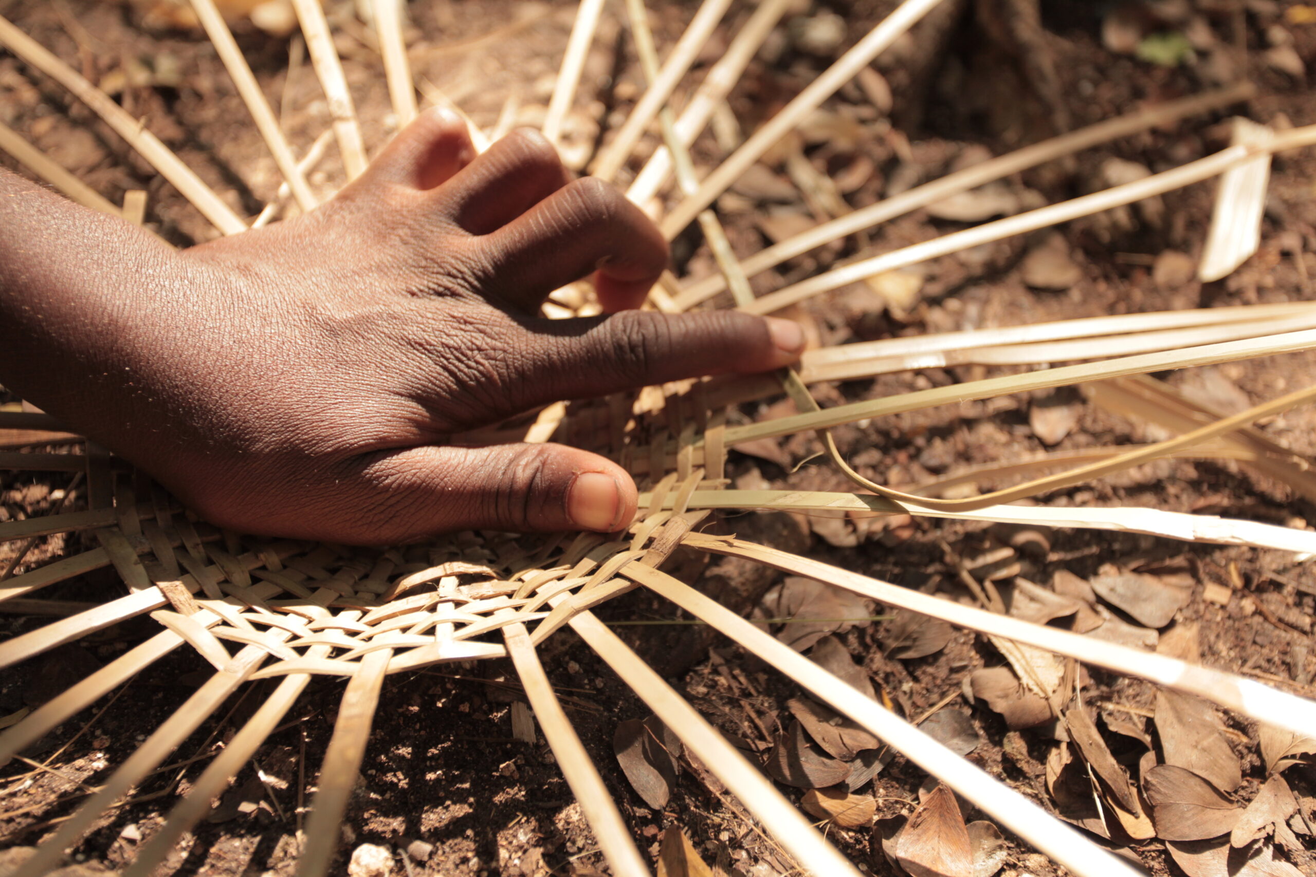 Hands weaving the base of a basket